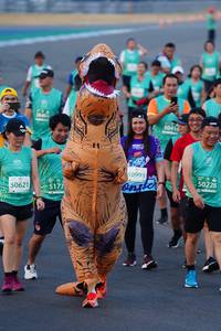BIB: 5040, 50416, 50993, 50228, 50621, 5177
                            <button type="button" onclick="openModal(10526049)" class="btn btn-primary btn-sm float-right btn-popup" data-toggle="modal" data-target=".modal-high-quality">
                        <i class="fas fa-shopping-cart"></i> Add to Cart
                    </button>
                                            <button type="button" onclick="isThisMe(10526049, true)" class="btn btn-success btn-sm float-right btn-popup btn-isme hidden" data-toggle="tooltip" data-placement="bottom" title="นี่คือรูปของคุณใช่ไหม คลิกที่นี่เพื่อเอาเข้าอัลบั้ม">
                        <i class="fas fa-plus"></i> Add to album
                    </button>
                    <button type="button" onclick="isThisMe(10526049, false)" class="btn btn-warning btn-sm float-right btn-popup btn-isnotme hidden">
                        <i class="fas fa-ban"></i> Remove from album
                    </button>